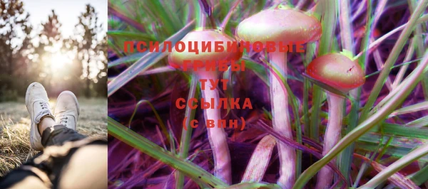 крисы Волоколамск