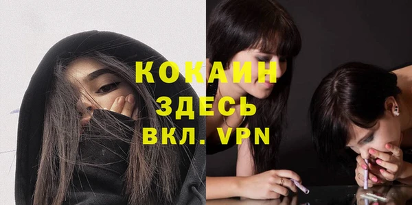 мдпв Вязники