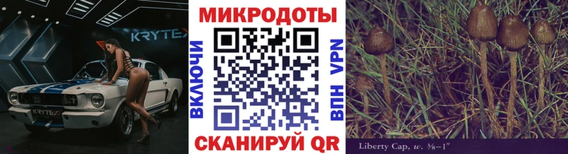 Псилоцибиновые грибы мицелий  Купить где  Поворино 